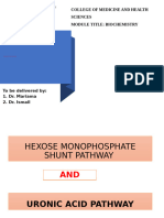 Umst PPT and Uronic Acid Pathway Note