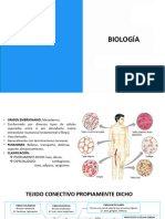 Histología Humana Ii - 5° Bio