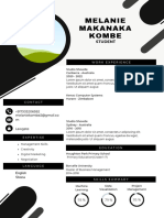 Black Modern Corporate Resume