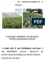 Agricultura Tipos de Produção