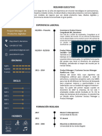 CV Plantilla