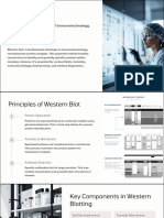 Western Blot Cornerstone of Immunotechnology