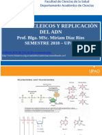 Acidos Nucleicos