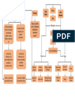 Mapa Conceptual