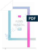 Plexo Braquial