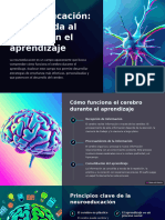 Neuroeducacion Una Mirada Al Cerebro en El Aprendizaje