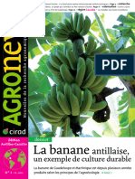 La Banane Antillaise (PDFDrive)