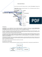 Tuberculosis Pulmonar