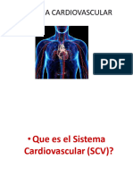 SISTEMA CARDIOVASCULAR Clase