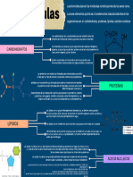 BIOMOLECULAS