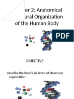 CHAPTER 2 Structural Organization