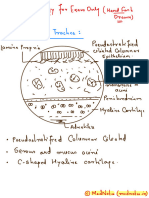 Histology Theory For Professional