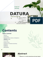 Datura Poisoning