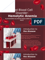 Red Blood Cell Disorder - Hemolytic Anemia by Slidesgo - PPTX - 20241118 - 131048 - 0000