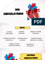 SISTEMA CIRCULATÓRIO - Resumo 