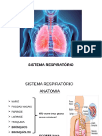 5 - Sistema Respiratório