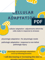 Cellular Adaptation - 20240906 - 114622 - 0000