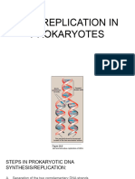 Dna Replication in Prokaryotes-1