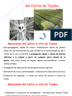 Clase 2. Aplicaciones Del Cultivo de Tejidos