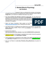 Lab08 Muscle Handout S20 PDF