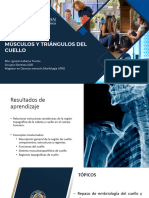 Unidad 1. Clase 3 - Morfología Del Cuello