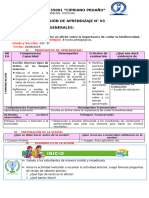 Sesión de Aprendizaje N 21