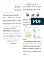 Resumo Bioquímica P2