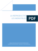 Exposé Sur Les Menstrues