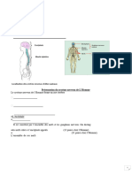 Cours Terminal Profs SVT