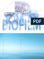 Biofilm