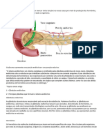 Sistema Endócrino 1