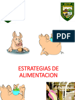 Alimentacion en Porcinos