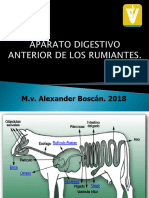 1.1 Generalidades Aparato Digestivo Anterior