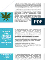 Componentes de La Marihuana