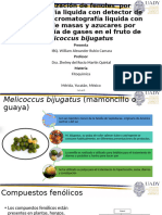 Caracterización de Fenoles Por Cromatografía Liquida Con Detector