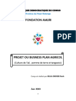 Business Plan Fondation Amuri