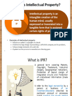 Ipr Act