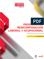 GT-PR43-PG01 Programa de Reincorporación Laboral y Ocupacional V1