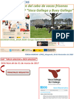 Optimización Del Cebo de Vacas Frisonas en Galicia