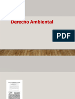 10-Semana 10 Derecho Ambiental.