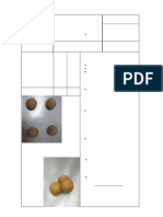 Ficha Tecnica Pan de Dulce Semiintegral Manuela