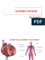 Circulatory System