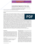 2013 - Claes - Anatomy of The Anterolateral Ligament of The Knee