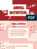 Animal Nutrition