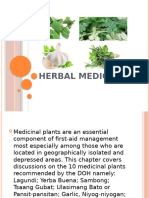 13.herbal Medicine 1