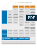 Malla Curricular Auditoria