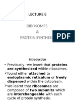 LECTURE 8 Ribosomes & Proteinsynthesis