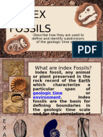 Index Fossils