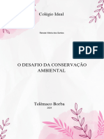 O Desafio Da Conservação Ambiental - 20241114 - 145922 - 0000