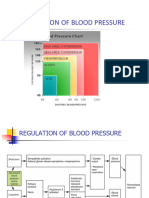 11 - Arterial Blood Pressure Regulation